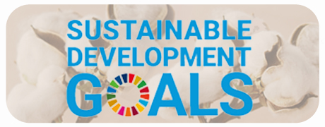 SDGｓ　エムアンドエムソックスはSDGs取り組みアパレル企業です